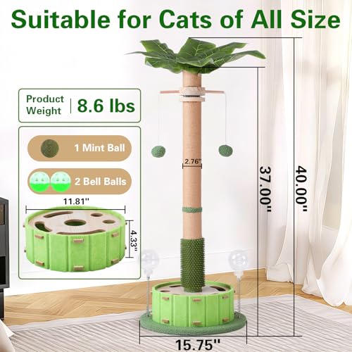 Plam Tree Cat Scratching Post 40" Tall with Cat Toys for Indoor Large Cats