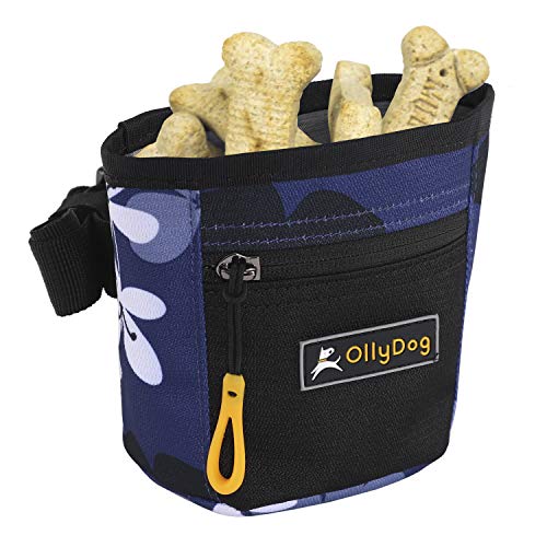 OllyDog Goodie Treat Bag, Waist Belt Clip for Hands-Free Training, Lightweight Easy to Wear Pouch, Magnetic Opening, Comfortable for Everyday Use, Three Ways to Wear, Aloha Blue, One Size - color: XAloha Blue