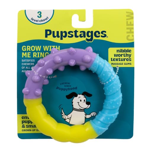 Grow-With-Me Ring Dental Dog Chew Toy, Bounces & Floats, 4.7" - color: Ring