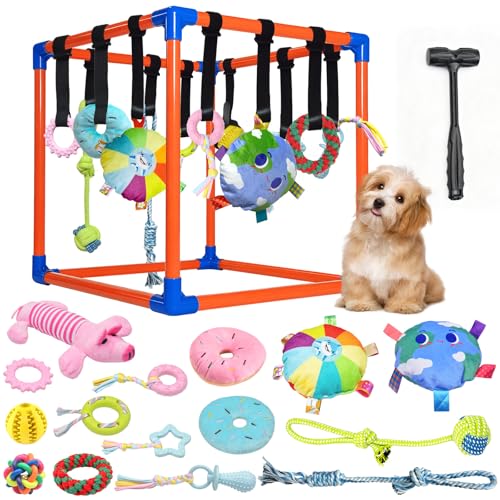 Puppy Play Gym with 15 Hanging Toys for Small Dogs, PVC Frame with Bungee Straps, Interactive Indoor Jungle Playground for Entertainment, Teething and Mental Stimulation - color: Orange, size: 15 Toys
