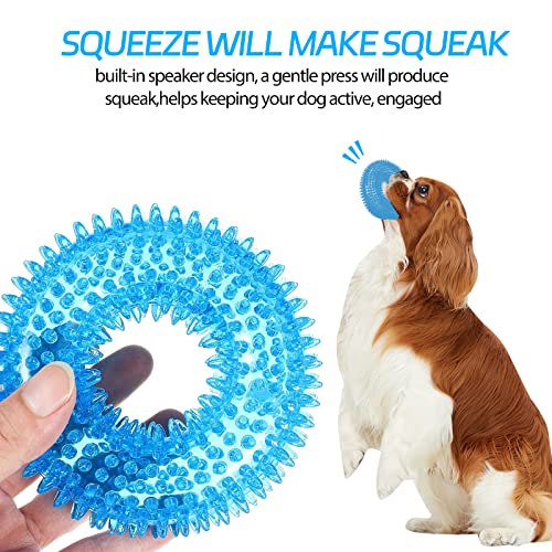 BLMHTWO 2PCS Dog Ring Toy, Dog Spiky Ring Squeaky Rings for Dogs