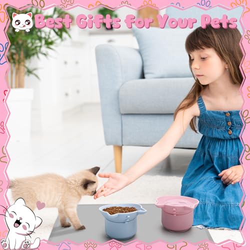 2 Pack Elevated Slow Feeder Cat Bowls Anti Vomit Silicone Raised Cat Bowls - color: Pink, Blue