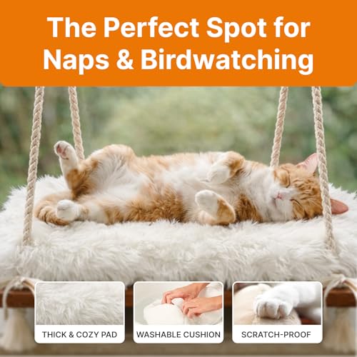 Cat Hammock with Industrial-Grade Suction Cups - Solid Pine Wood Seat, Soft Cushion - 42 lb Capacity - color: Brown/White, size: Medium