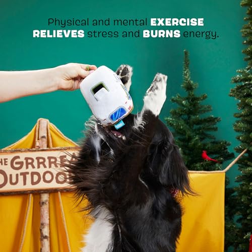 BarkBox Hairstream Trailer Dog Toy - Fun for Dogs - color: Hairstream Trailer