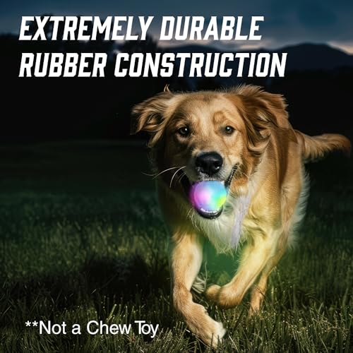 LED Light Up Dog Ball, Bounce-Activated Color Changing