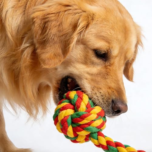 Figure-8 Rope Dog Toy for Large Dogs, Heavy-Duty Tug Toy - 2 Count - size: 2-Pack Set