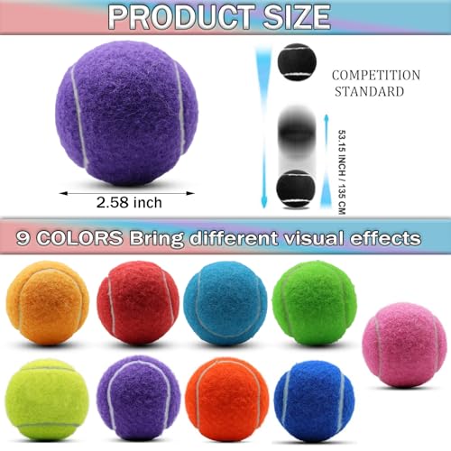 SHYUJAJIE Tennis Ball,20 Pack Practice Balls Bulk,Dog Balls with Mesh Bag - color: Purple