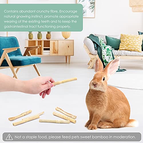 Bissap Sweet Bamboo Chew Sticks for Rabbits 500g/1.1Ib, Bunny Molar Treats Snack for Small Animals Hamsters Chinchillas Guinea Pigs Squirrels Natural Teeth Grinding Toys - size: 1 Count (Pack of 1)