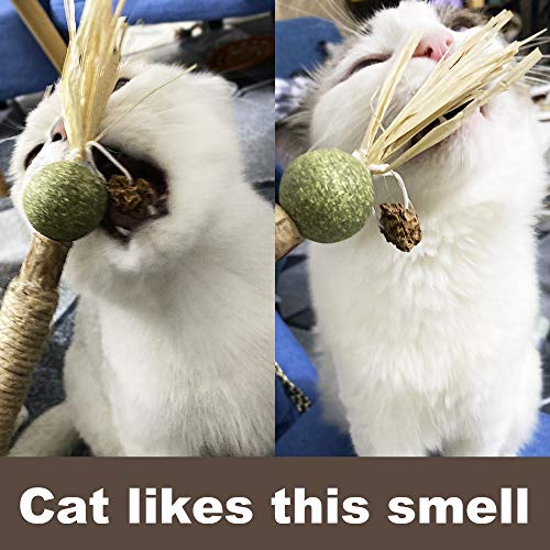 PAZ'S GIFT Catnip Toy Cat Toys Catnip Toy cat chew Toy cat Kicking silvervine Stick Teeth Cleaning Cute Kitten Teething Indoor Interactivecat Dental Care Matatabi (Catnip Balls) - size: Catnip Balls