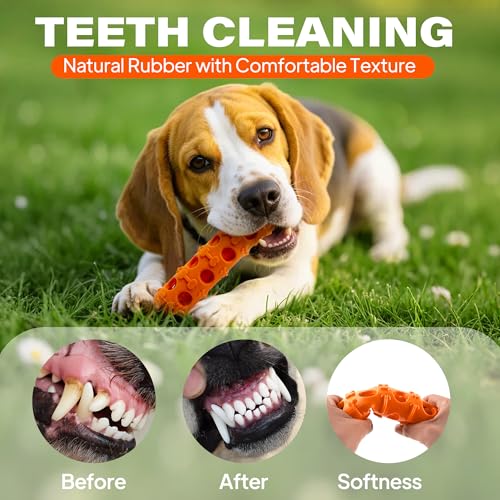 Fida 2-in-1 Puppy Teething Toys, Natural Rubber Chew Toys for Dogs, Carrot - color: Orange Carrot