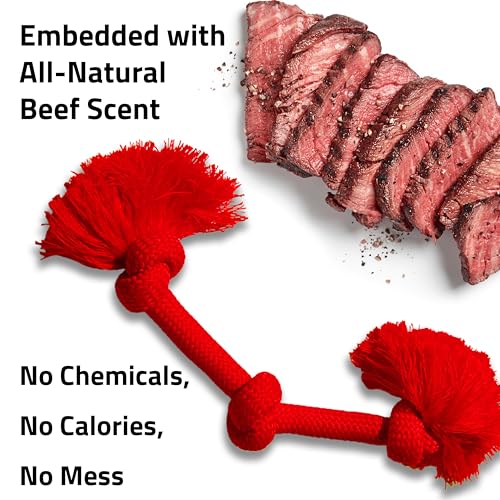 Playology Tug Rope Dog Toys for Large Breed Dogs - Jumbo, Beef Scent - size: Jumbo, style: Beef