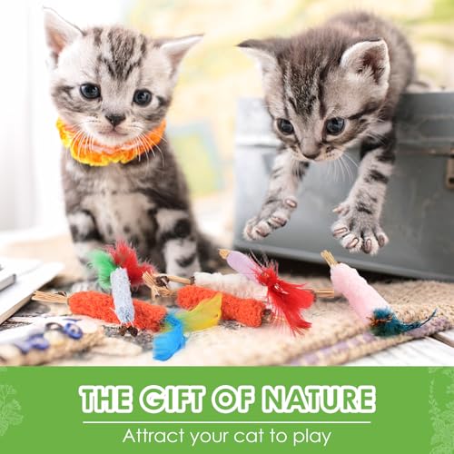 TINDTOP Cat Chew Toys, 6 Pack Silvervine Catnip Sticks for Kittens - color: 6 Pack