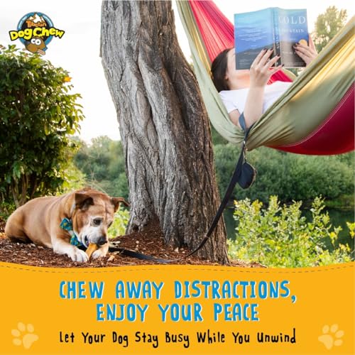 Tibetan Dog Chew Yak Cheese Sticks - Natural Treats for Small Dogs, 15-Pack - size: 1 Count (Pack of 15)