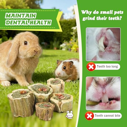 3.5oz Rabbit Chew Toys for Teeth，Bunny Papaya Wood Chew Toys Guinea Pig Treats with Apple Stick for Rabbits Guinea Pigs Hamsters Chinchillas Gerbils Prevent Teeth Overgrowth (3.5 oz, Fruit)