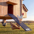 Lilyang Heavy-Duty Metal Chicken Coop Ladder Ramp, 48.0″L*10.2″W - color: Blue, size: 48.0″L*10.2″W