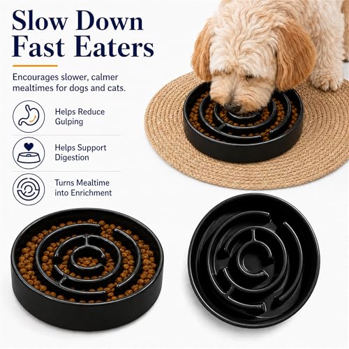 Ceramic Slow Feeder Dog Bowl, 1.5 Cup Puzzle Dish for Small Medium Dogs - color: Ceramic-Black