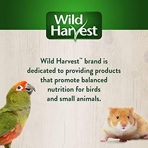 Wild Harvest Foraging Instincts Peck n’ Play Interactive Treat, 2 Ounce, for Small Birds (Pack of 2) - size: 2 Ounce (Pack of 2)