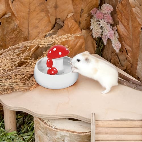 Niteangel Hamster Feeding & Water Bowls- Mushroom Ceramics Series Food Dish Feeding Bowls for Dwarf Syrian Hamsters Gerbils Mice Rats or Other Similar-Sized Small Pets (Water Bowl) (Pack of 2) - size: Water Bottle (Pack of 2)