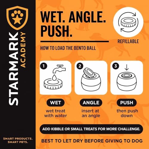 Starmark Everlasting Treat Bento Ball Tough Dog Chew Toy Small - size: Small