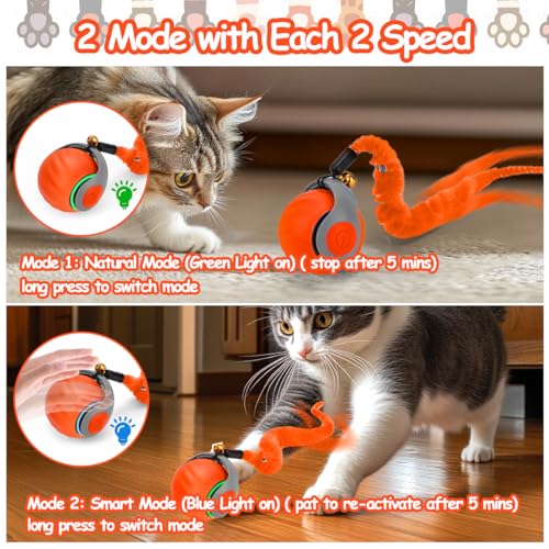 Mity rain Interactive Cat Toy Ball, Rechargeable Cat Toys for Indoor Cats - color: Orange