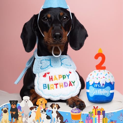 Dansydaisy Dog Birthday Cake Toy Squeaky Plush Gift,2nd,Blue - color: Blue, style: 2nd