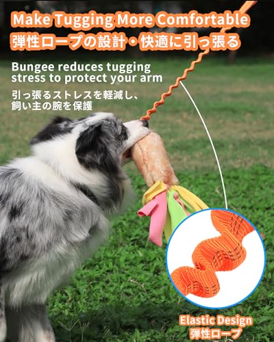SCHITEC Tug Toy for Dogs, [2 Pack] Bungee Tug of War Squeaky Rope Toys for Exercise & Interactive Play Games, Puppy Training Pull Toy for Small Medium Large Dog - style: Artificial Wool+Short Handle, Chenille+Short Handle,