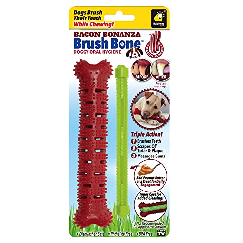 BulbHead Bonanza Bone Toothbrush, Infused with Real Bacon Flavor – Dogs Brush Chewing, Plaque and Tartar Remover for Teeth, Works 3 Ways to Clean While They Play, 8 in. x 2 in, Red - color: Brush Bone Bacon, size: 1 Count (Pack of 1)