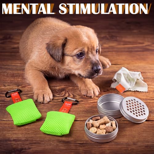 19 Pcs Dog Scent Work Tins Training Kit 6 Nose Magnetic Dots Scents Works Containers 6 Magnet 4 Smell Training Scent Pack1 Pair Tweezers 1 Drawstring Bag for Dog Trainings Loss of Smell