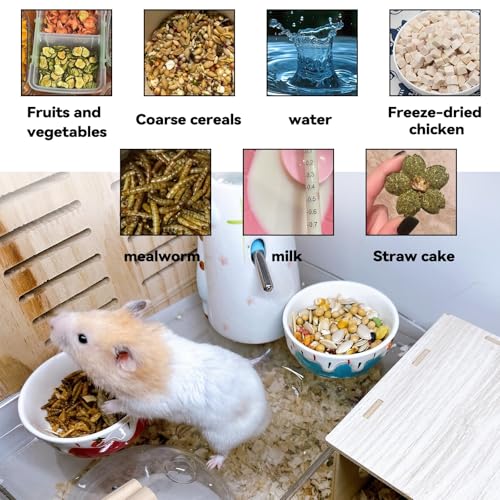 2 Pack Ceramic Guinea Pig Food Bowl Hamster Food Bowls for Gerbil Rat - color: Red + Blue