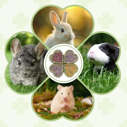 Abizoo Rabbit Chew Toys, Natural Four-Leaf Clover Herbal Edible Treats