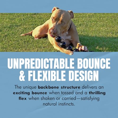 Vigor Interactive Dog Toy – Weighted & Flexible for Shake and Fetch Play – 1 lb (16 oz) - size: 16 Ounce