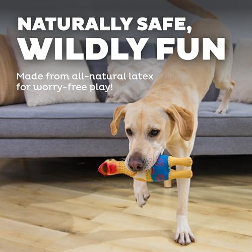 Outward Hound Squawkers Squeaky Latex Dog Toy, Earl, 11.4" - color: Tan, size: Large