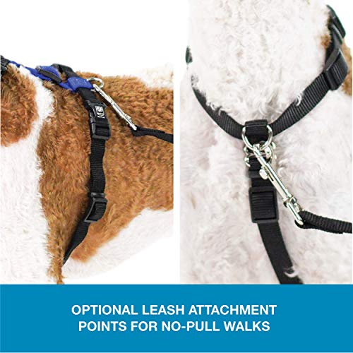 Blue-9 Balance Harness® and Leash Walking Set for Dogs, No-Pull, Blue, M - color: Blue, size: Medium