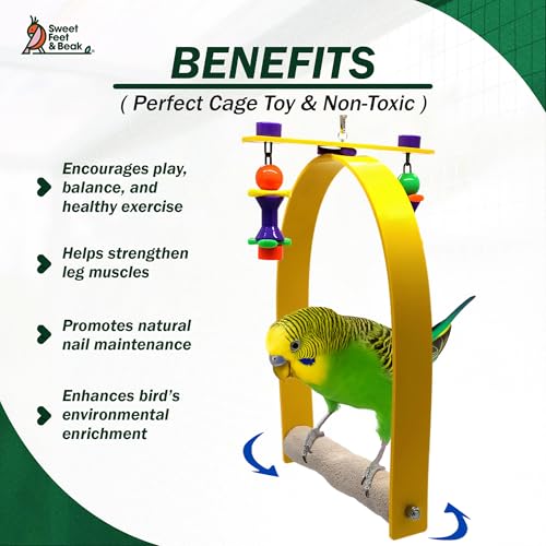 Sweet Feet and Beak Whirly Bird Swing, X-Large Indoor Pedicure Perch