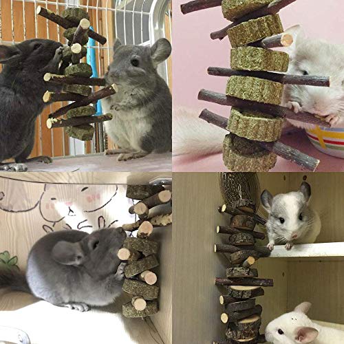 Bunny Chew Toys for Teeth, Organic Apple Wood Molar Sticks with Timothy Hay Circles for Bunny Chinchilla Guinea Pig Hamsters Holland Lop Prairie Dogs Squirrels Gerbils, Improves Dental Health - color: 1 PCS Apple Stick String