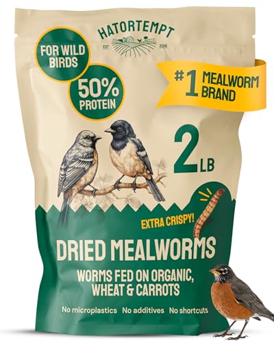 Hatortempt 2lb Dried Mealworms for Wild Birds & Chickens, Wild Bird Food - size: 2 Pound (Pack of 1)