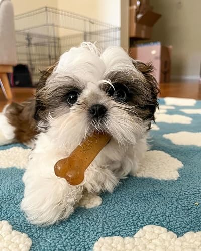 Nylabone Puppy Chew Teething Bone Dog Chew Toy, Chicken Flavor, Medium - color: Teething Bone, size: Medium