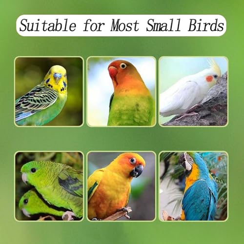No Mess Bird Feeder for Cage, Automatic Acrylic Bird Feeder Seed Catcher Tray Cage with Stainless Steel Hooks for Small Parrots Canary Parakeet Budgerigar Crested Cockatiel Lovebird (Small) - size: Small