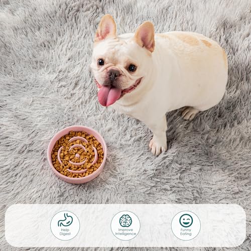 vancasso Ceramic Slow Feeder Dog Bowl, 0.6 Cup Puzzle Dish for Small Breeds - color: Pink, size: S - 0.6 Cups