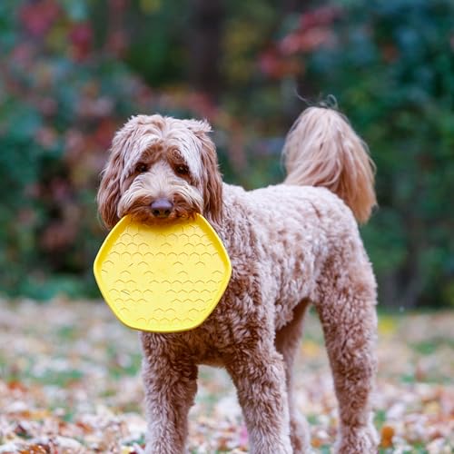 PROJECT HIVE ·PET COMPANY· Dog disc - Great for Fetch - Includes a Lick mat on Back - Floats in Water, Smooth Glide - Made in The USA (Unscented Yellow) - color: Unscented Yellow