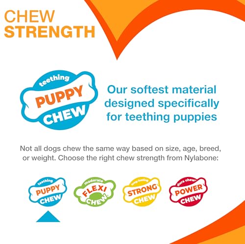 Nylabone Puppy Chew Blue Textured Teething Dog Bone, X-Small - color: Blue, size: X-Small
