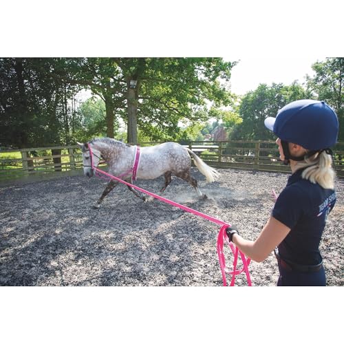 Shires Soft Feel Lunge Line - 26ft (8m) - Black Tubular Nylon with Swivel Trigger Clip Purple - color: Purple