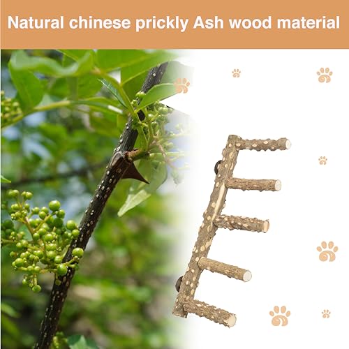 Bird Ladder Perch for Cage - Natural Wooden Bridge, Exercise Stands for Parrot Climbing - Pet Training Ladders - Hanging Playground -Toys for Parakeet, Cockatiel, Conures, Lovebirds, Budgie