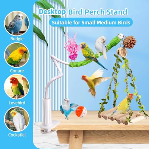 Bird Perch with Swing, Movable Desktop Stand with Clamp