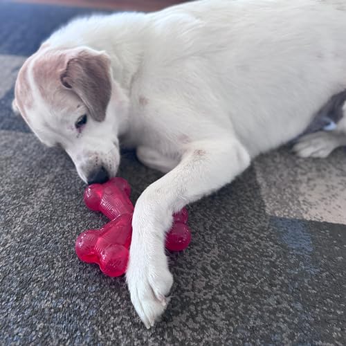 SPOT Play Strong Trident Bone - Durable TPR Long Lasting Dog Chew for Aggressive Chewers, Hole for Treats, Virtually Indestructible Toy for Large Dogs & Puppies up to 90lbs - 6 inch - style: Trident Bone