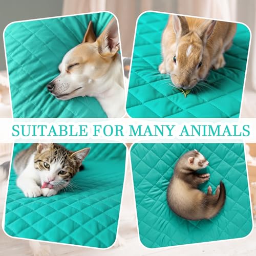 Beeveer 7 Pcs Winter Ferret Cage Liner Set Washable Ferret Pads Bedding Cage Accessories for Small Animals Hamster Rats Chinchillas Hedgehogs Guinea, Stain-Resistant Material(Light Blue) - color: Light Blue
