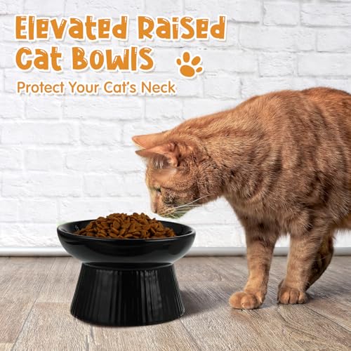 Tioncy 2 Pcs Ceramic Elevated Slow Feeder Cat Bowl, Dark Green, Black - color: Dark Green, Black