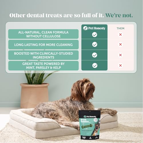 Pet Honesty Brush Buddies Vet Backed Dog Dental Chews, 8 Count - size: 8 Count (Pack of 1)