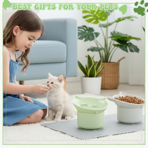 2Pack Slow Feeder Cat Bowls Silicone Tilted Raised Pet Bowl - color: Gray, Green
