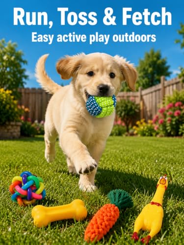6-Piece Puppy Rope Chew Toy Set, Knotted Interactive Toys and Flying Disc for Small Medium Dogs, Tug and Fetch Play